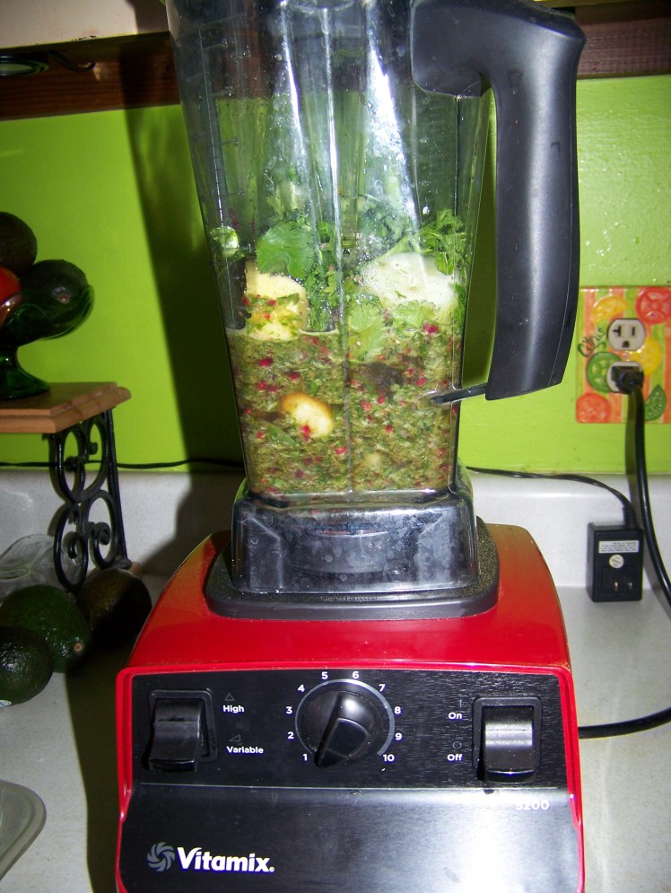 Vitamix