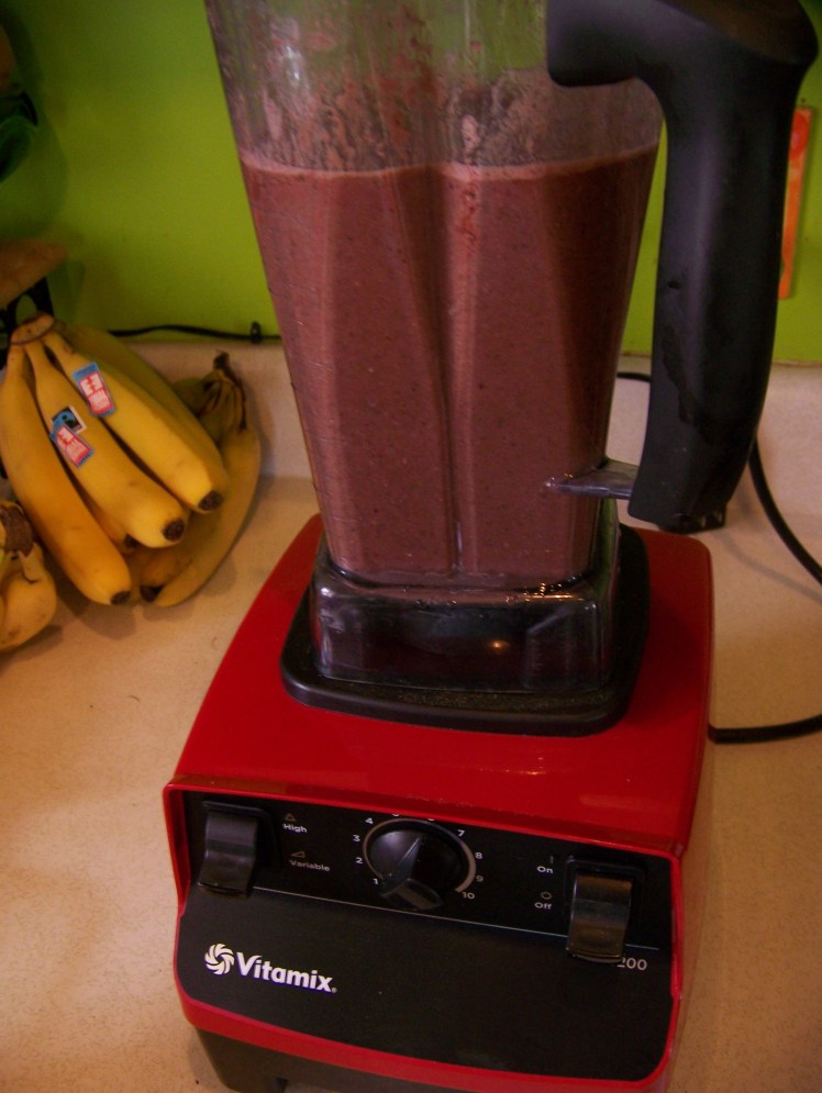 I think the Vitamix was one of the best investments we have ever made.