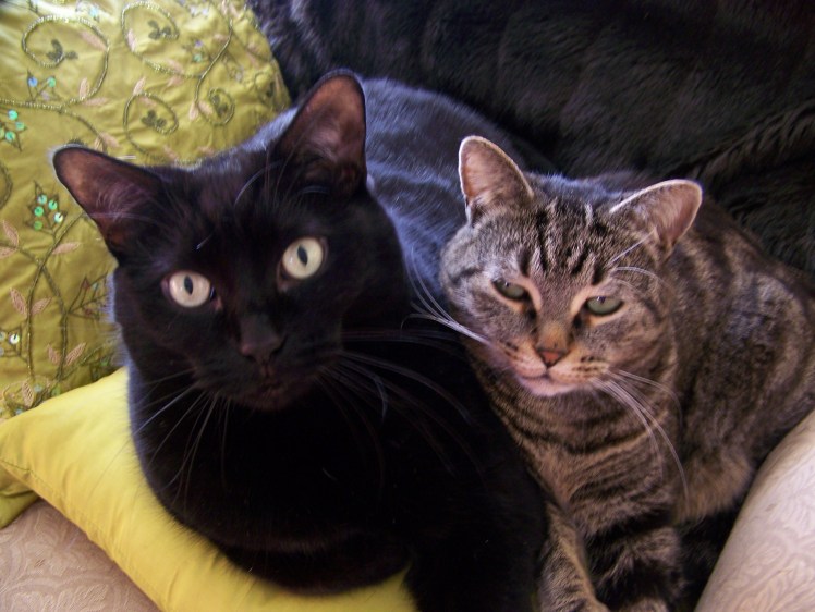 Athena and Pandora snuggling to keep warm