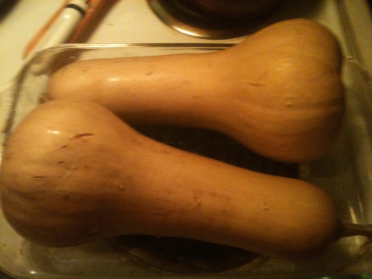 I use a Pyrex Glass Baking Dish