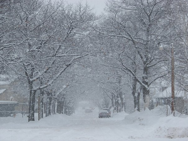 Winter in Upper Michigan Photo by Mike Laitinen