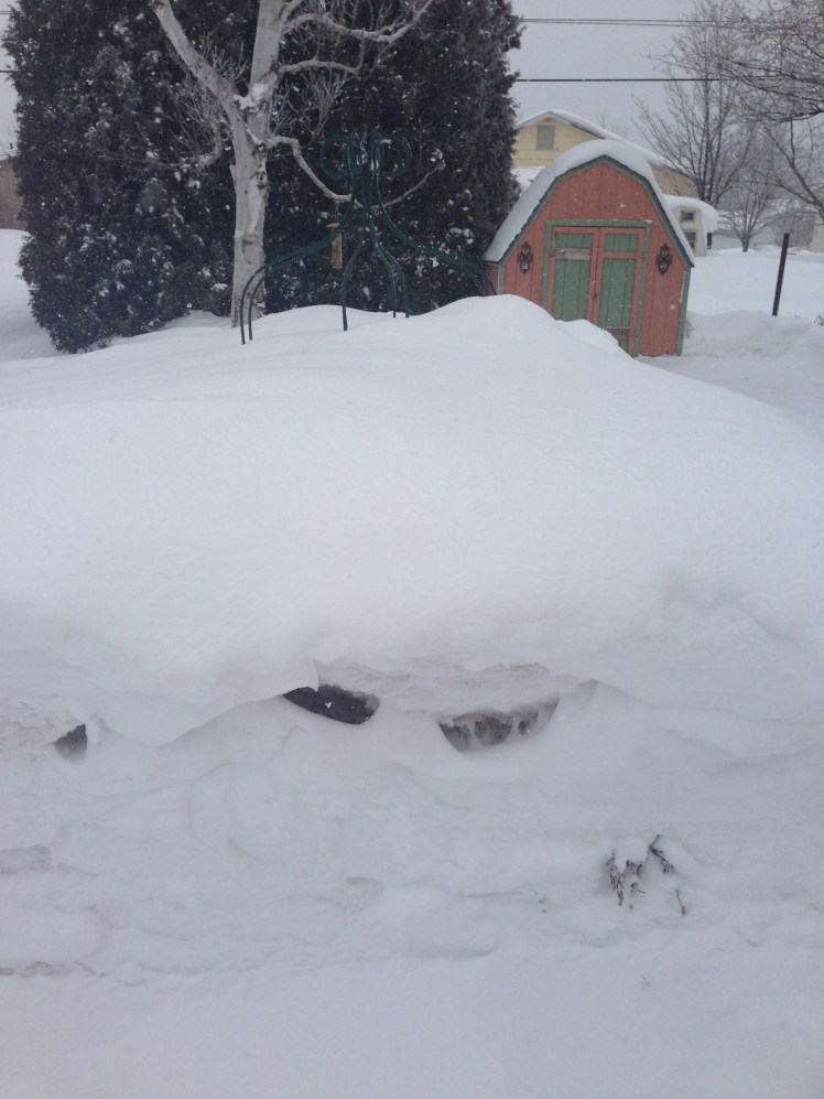 My garden is sleeping under that pile of snow. 