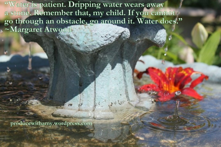 Learning Patience & Perseverance from Nature