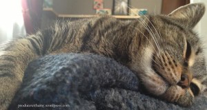 Athena is even smiling that it is spring break.