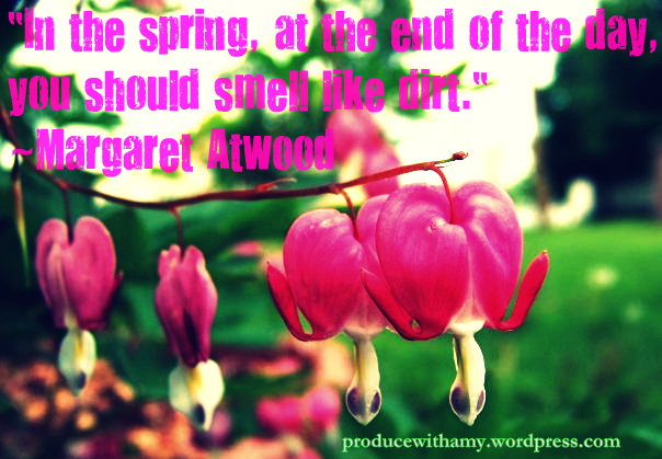 Bleeding Hearts Spring 2013