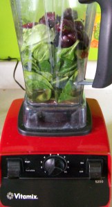 I love my Vitamix!
