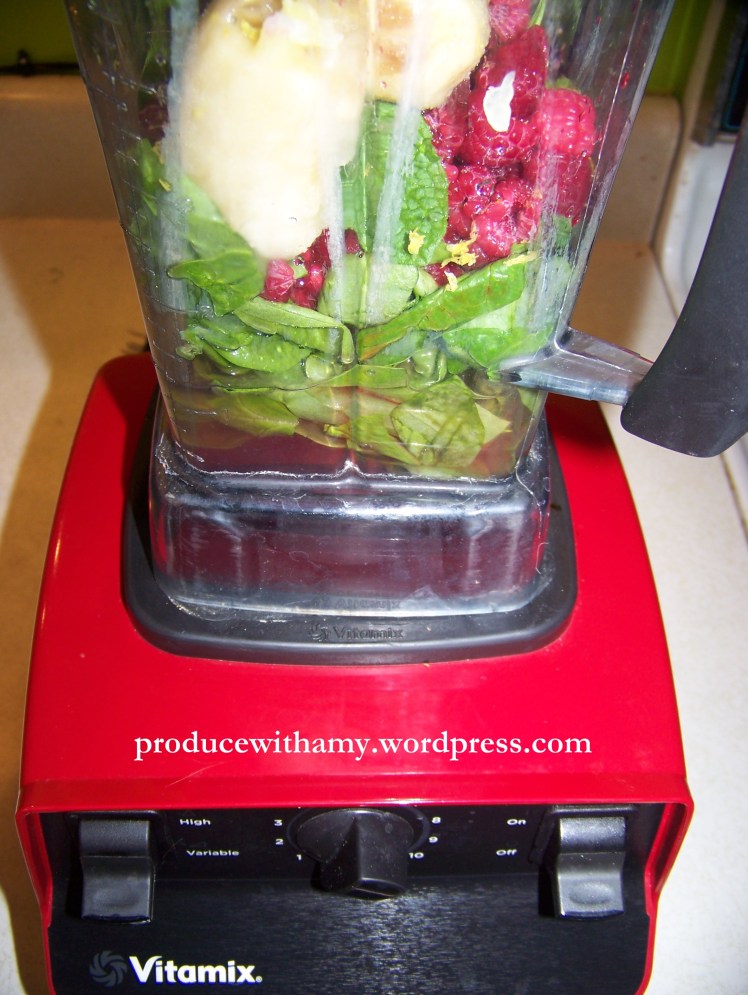 I will soon be celebrating our Vitamix's "One Year Anniversary." How did we ever live without it?