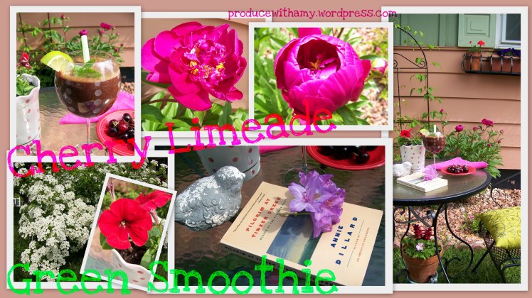 Click on image for a larger version. 