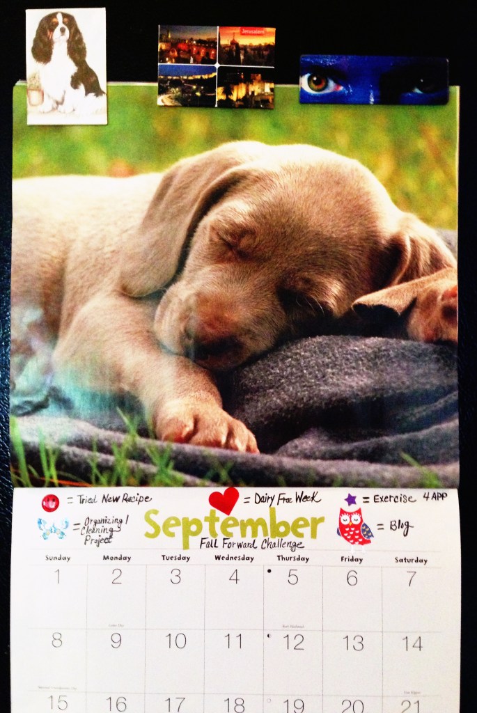 The puppy napping on my calendar is a reminder that I need to be productive during my waking hours so I can get 7-8 hours of sleep each night. Sleep, like whole, non-processed food = FUEL