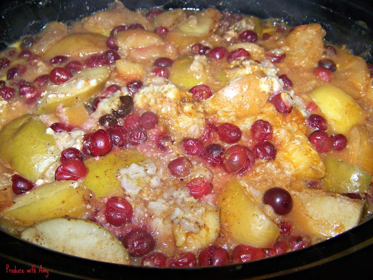 Sweet & Tart Slow Cooker Apples with Cranberries, Pumpkin, and Oatmeal