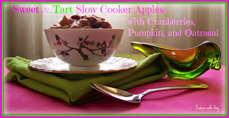 Sweet & Tart Slow Cooker Apples with Cranberries, Pumpkin, and Oatmeal