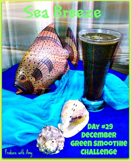 Day #29 December Green Smoothie Challenge