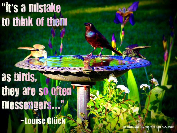 Birds are Messengers