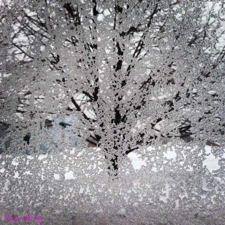 The view outside my window this afternoon. 