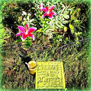 Watermelon Mint Green Smoothie