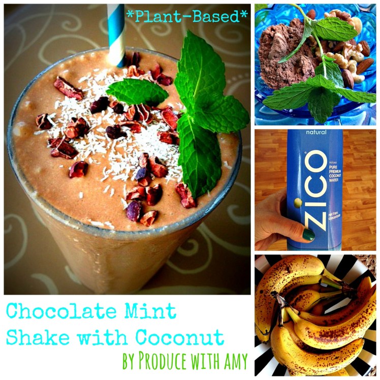 Plant-Based Chocolate Mint Shake with Coconut by Produce with Amy