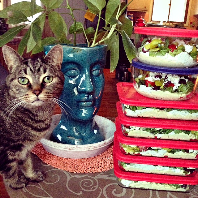 Athena, the sweetest little photo bomber. 