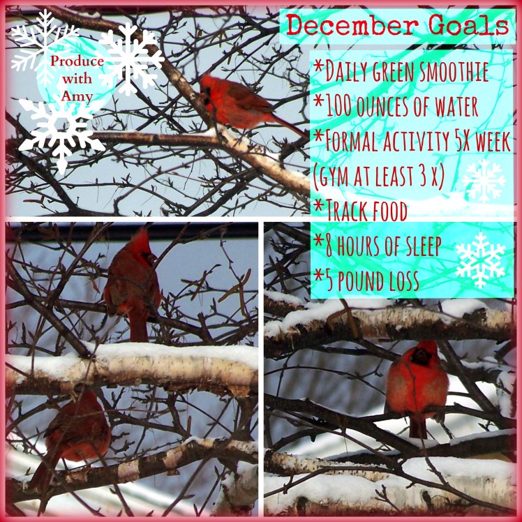 December Goals by Produce with Amy
