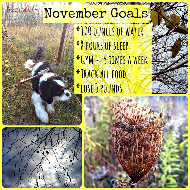 November Goals