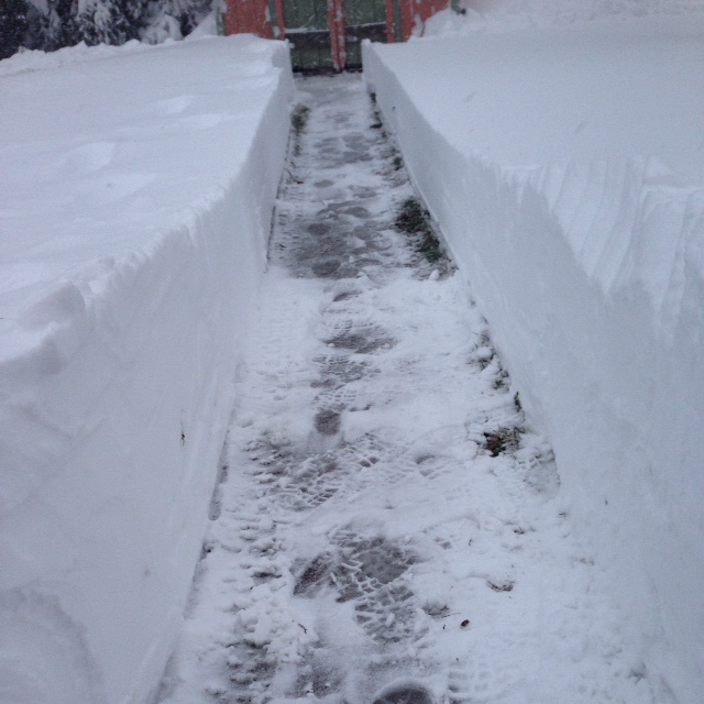 Mike carved a path leading to our backyard.