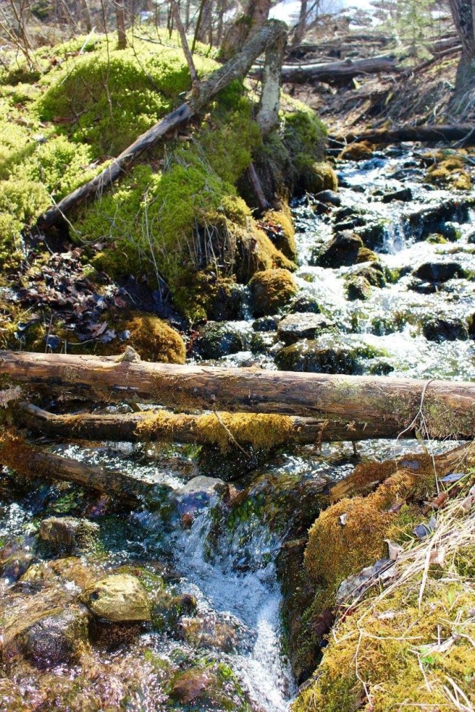 I love my new camera.