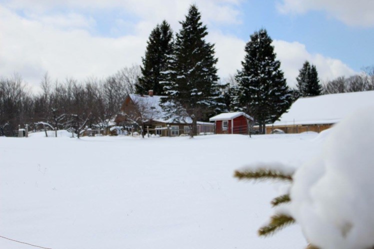 I am thankful for our cozy log home.