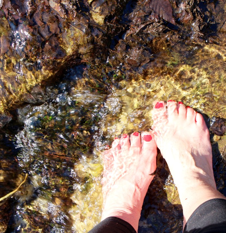 I took off my Bog Boots and enjoyed the icy water. 
