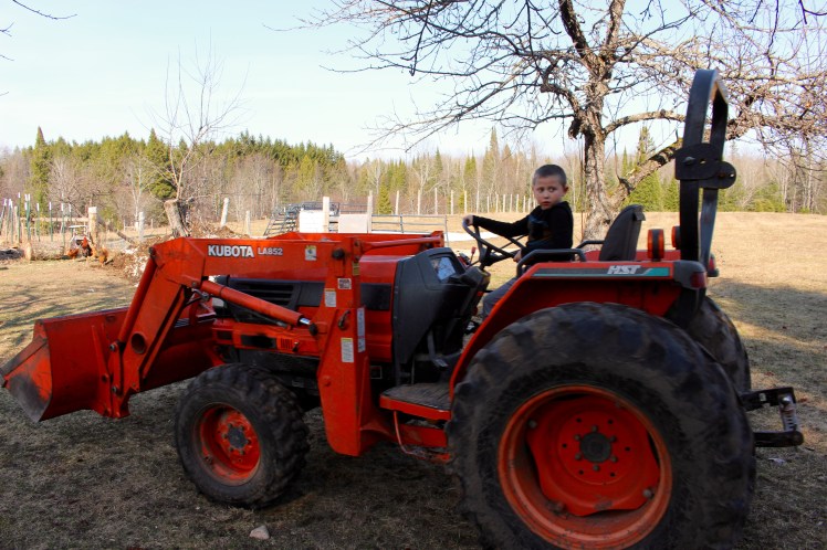 Lukas learning to drive the tractor. 