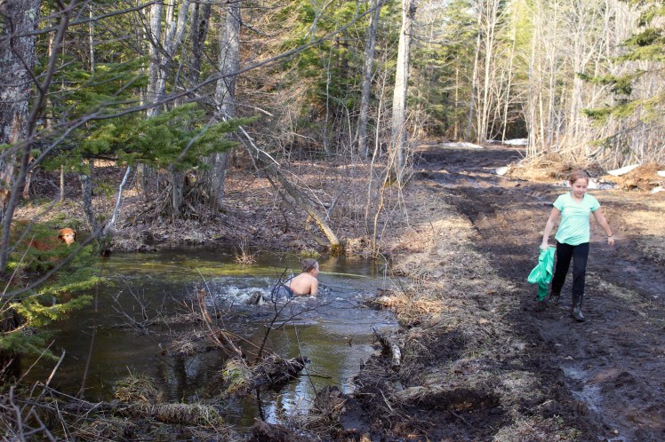 A little "dip" in the creek on our property. 